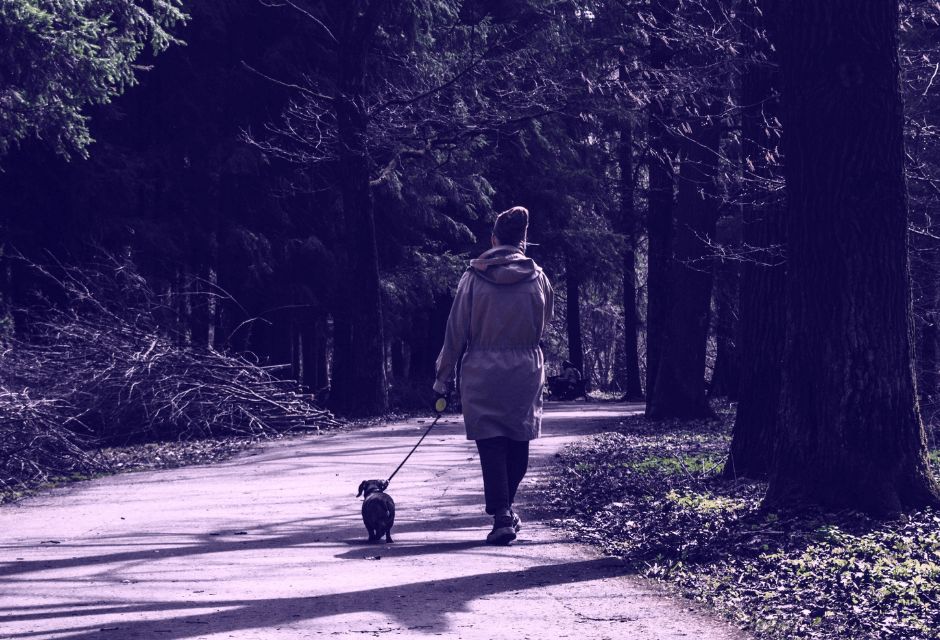 Ihminen kävelyttämässä pientä koiraa keväisessä metsässä.